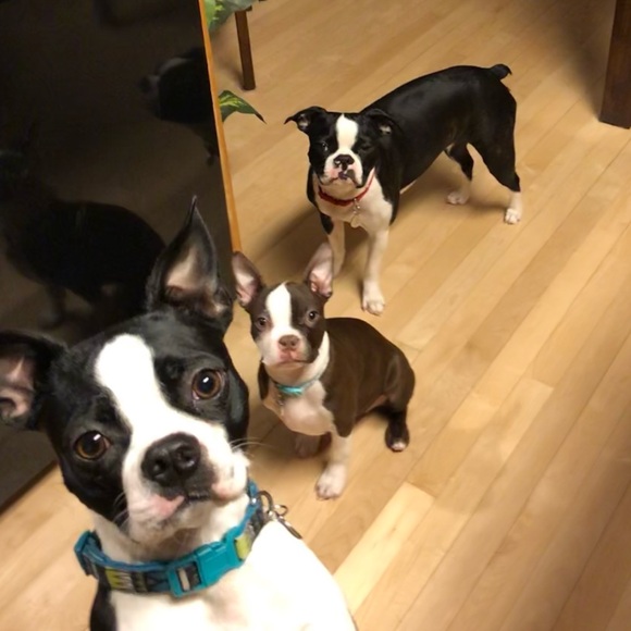 @KatsClosetCrush is Going Live - Picture 6 of 12